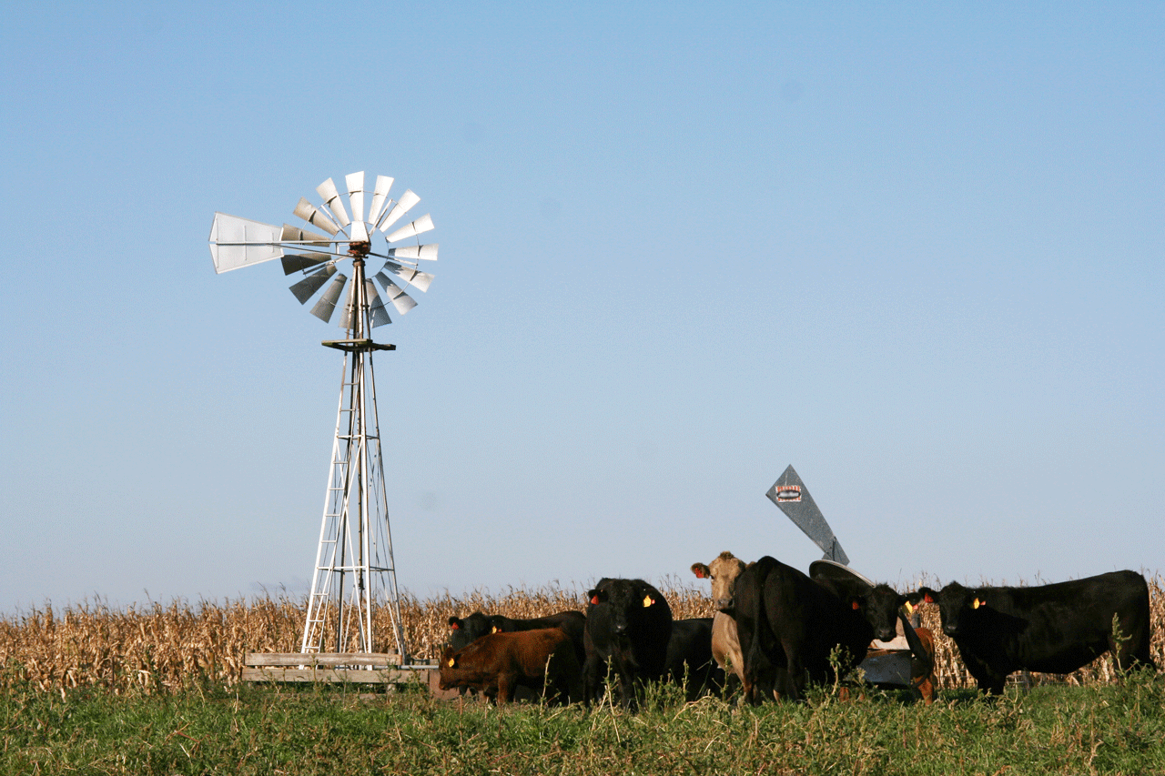 Iowa